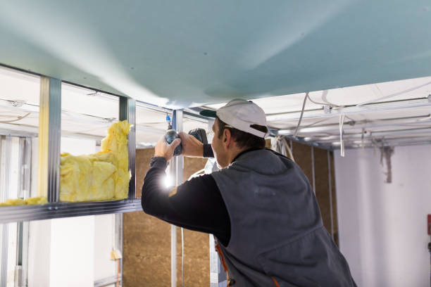 Trusted Demorest, GA Insulation Experts